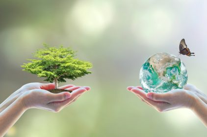 Riforma della valutazione impatto ambientale e dello studio di impatto ambientale: cosa cambia?