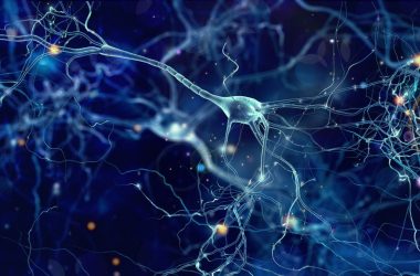 Reti neurali artificiali: una definizione e gli ambiti di applicazione